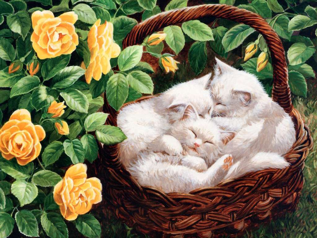 gattini bianchi in un cestino puzzle online