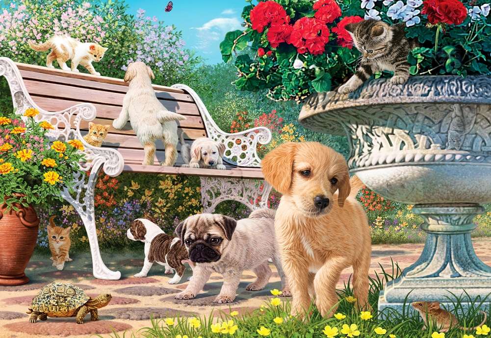 puppies and cats playing in the garden online puzzle