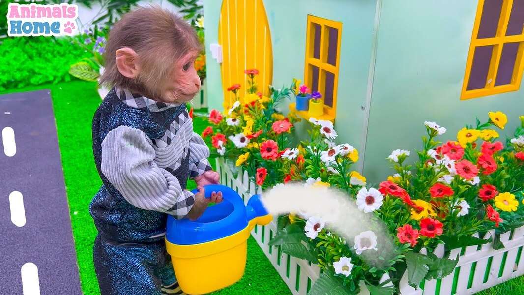 Cute Bibi Monkey #104 online puzzle