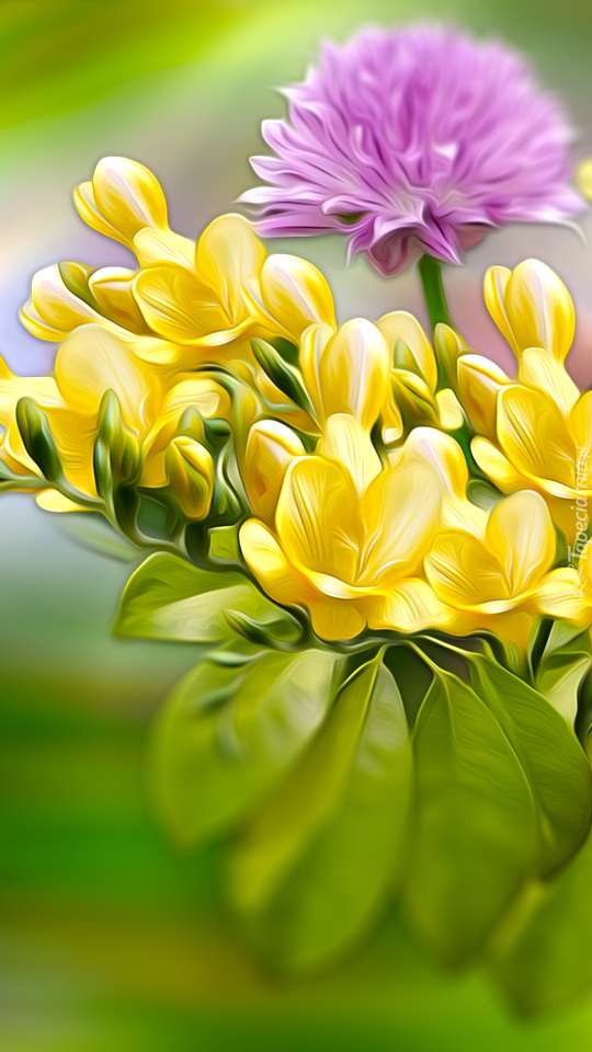 A frézia és a lucerna virága kirakós online