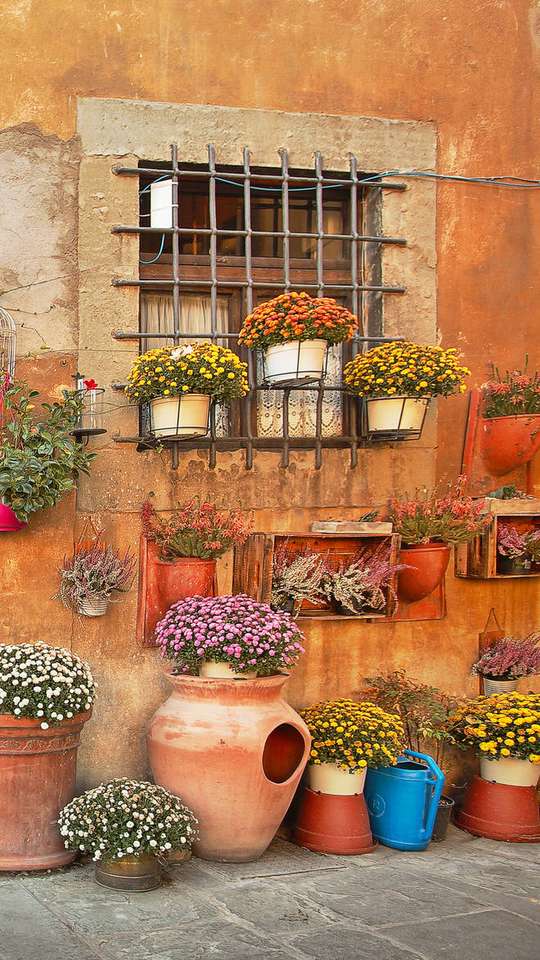 Саксийни цветя пред къщата - Италия онлайн пъзел