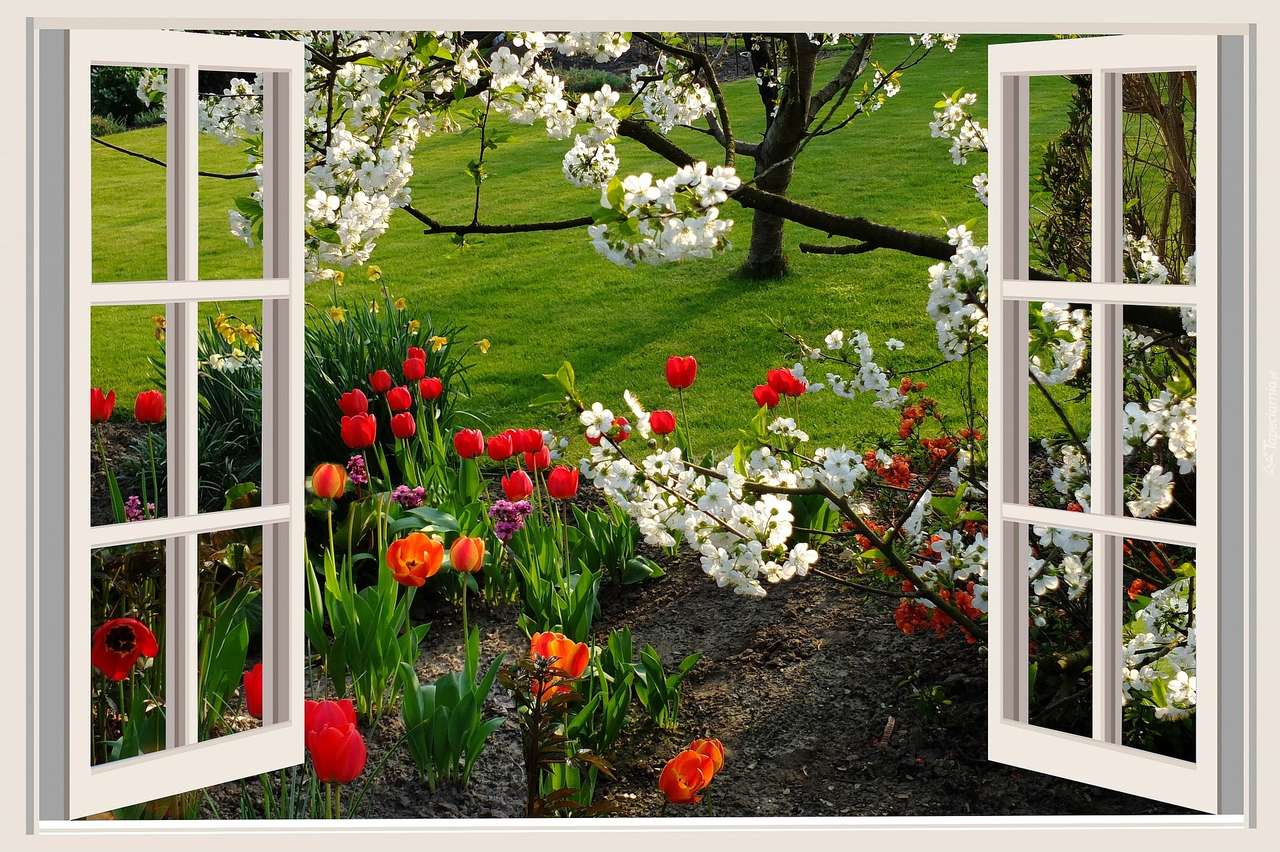 Window view. online puzzle