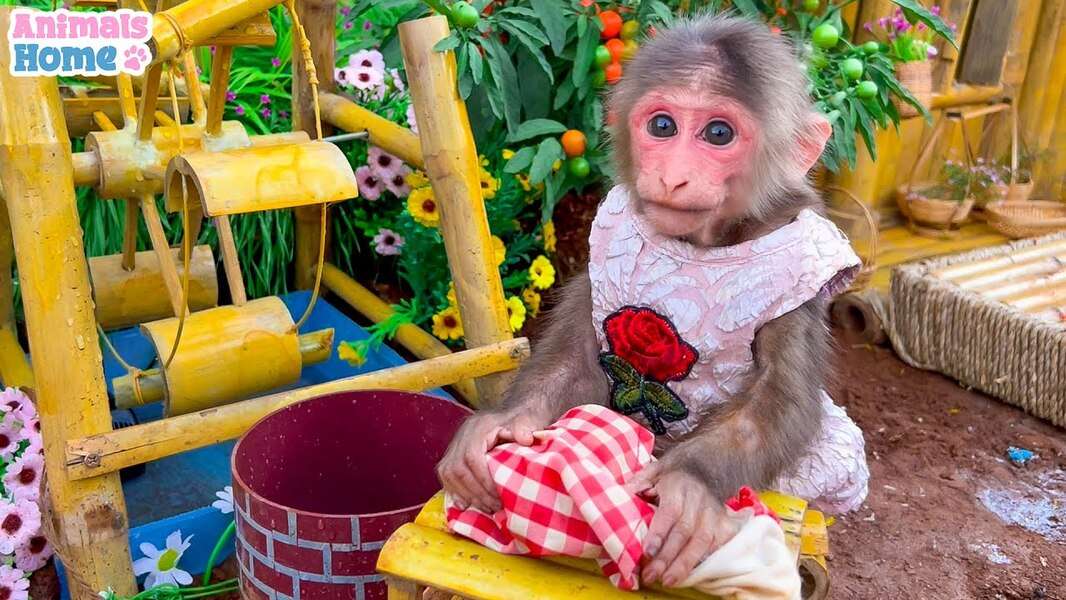 Cute Bibi Monkey #116 jigsaw puzzle online