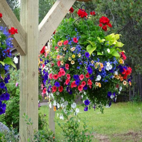 hanging basket online puzzle