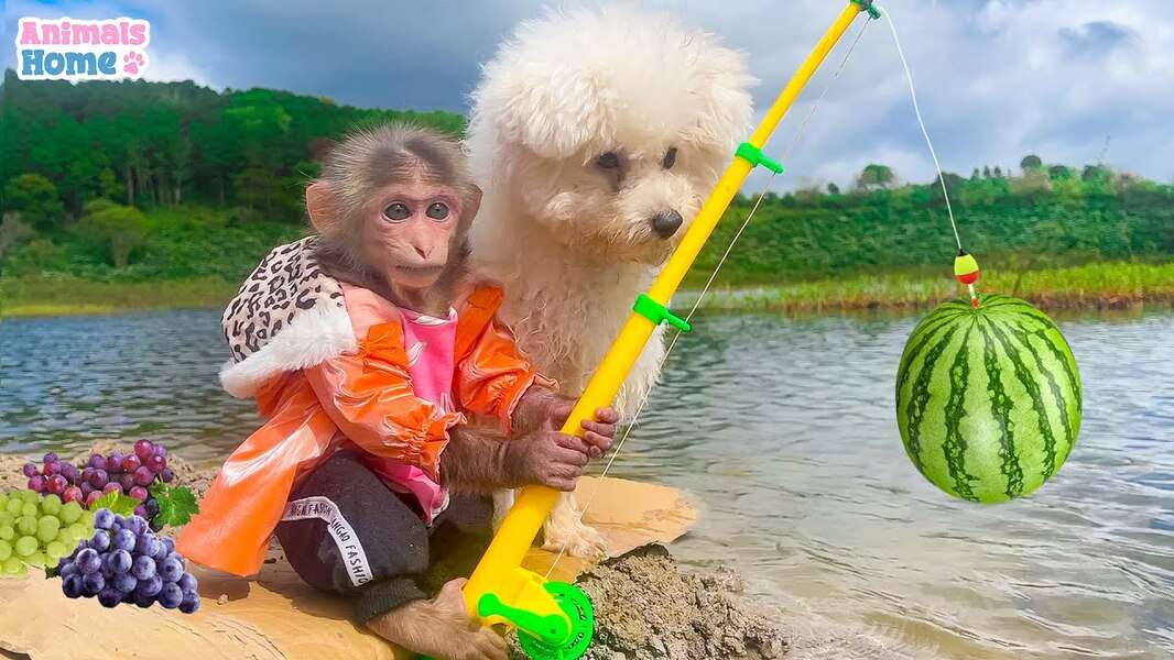 Симпатичная обезьянка Биби №121 пазл онлайн