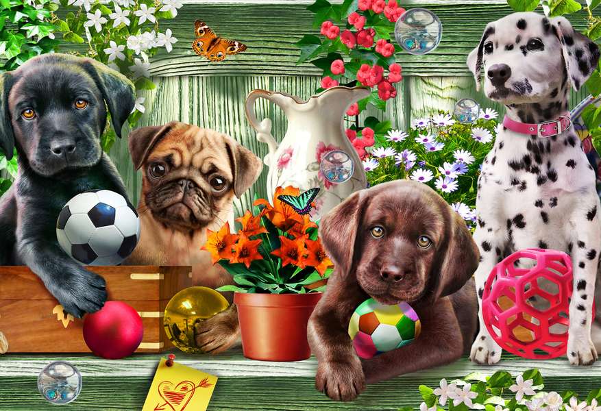 I cuccioli sembrano carini #59 puzzle online