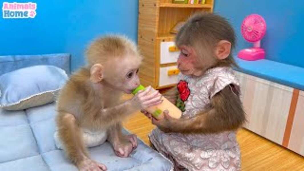 Симпатичная обезьянка Биби №133 онлайн-пазл