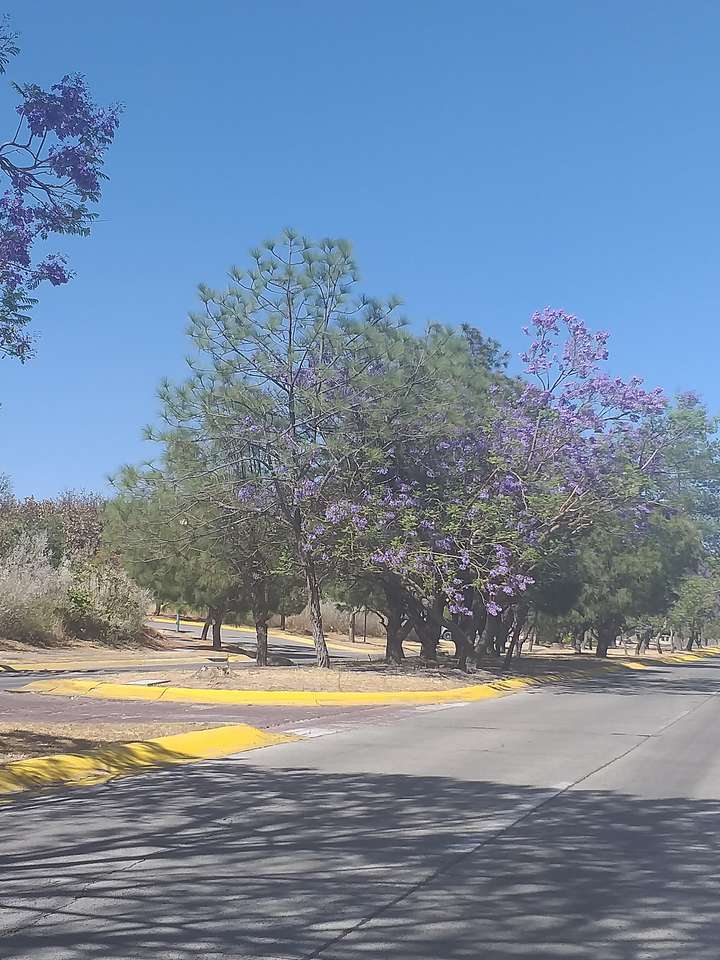 TARDE AZUL rompecabezas en línea