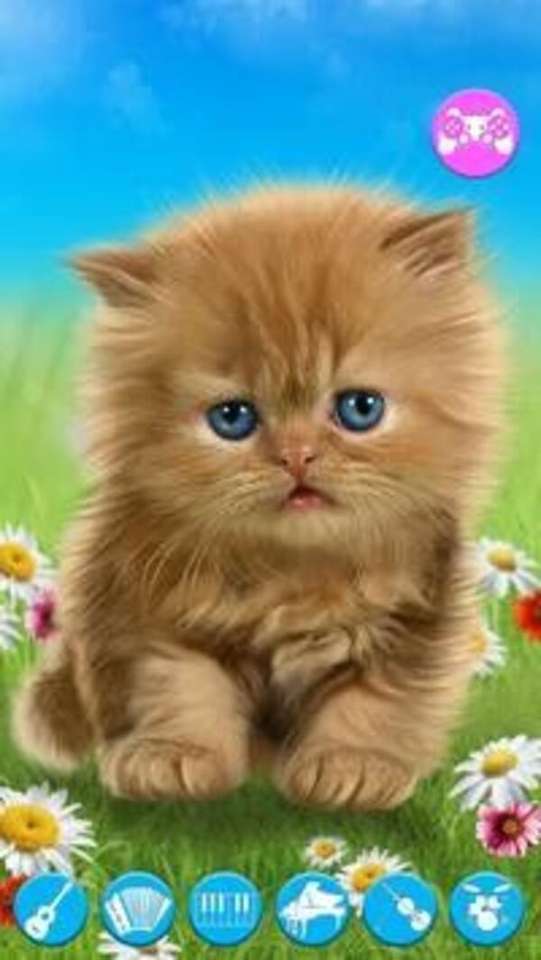 Υπερβολικά όμορφο γατάκι #70 παζλ online