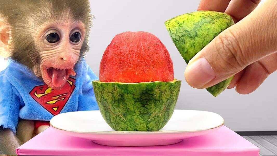 Cute Bibi Monkey #141 παζλ online
