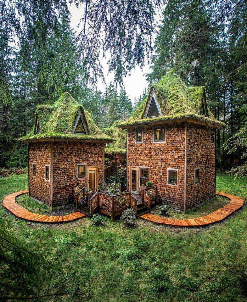 Forest castle online puzzle