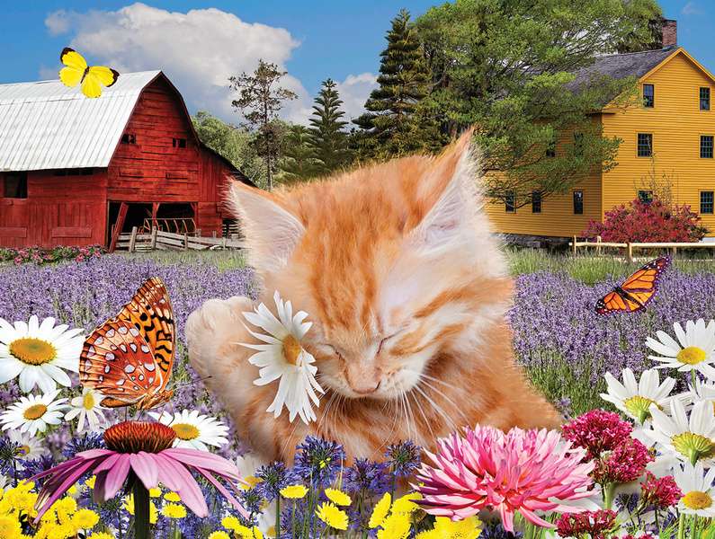 Kattunge sover i blommorna #78 Pussel online