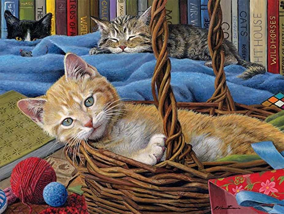 cat in a basket jigsaw puzzle online