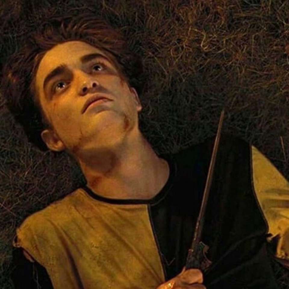 cedric diggory Pussel online