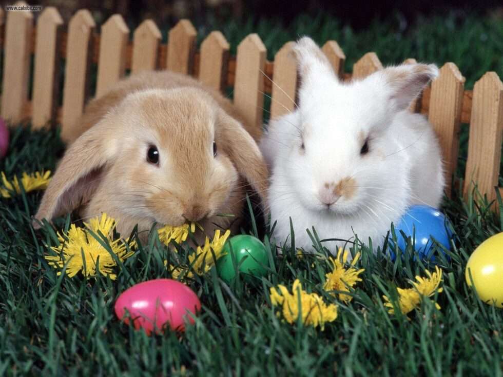 Великденски зайчета онлайн пъзел