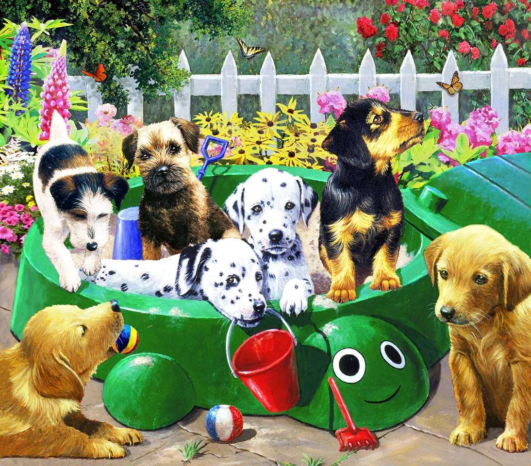 puppies in inflatable pool jigsaw puzzle online