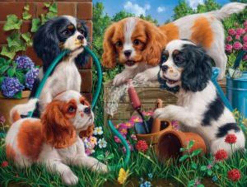 Câini care se joacă cu furtunul #72 jigsaw puzzle online