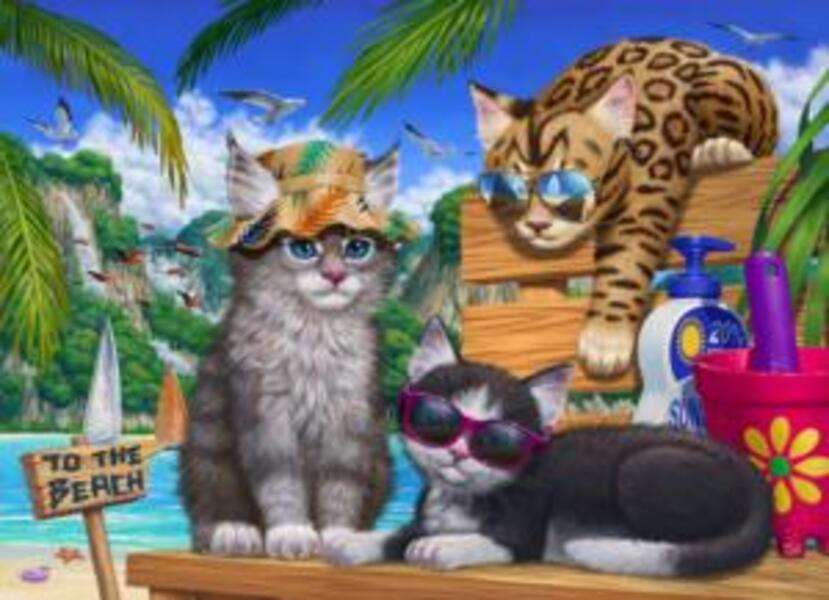 Koťata na pláži #83 online puzzle