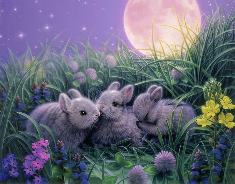 vackra kaniner Pussel online