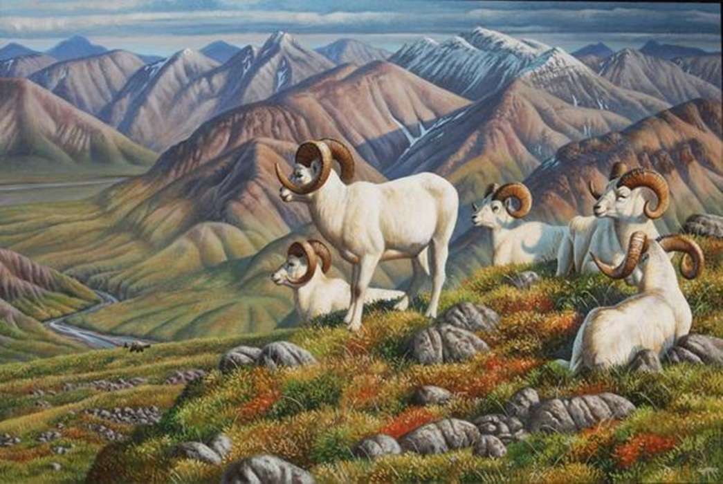 гірські кози онлайн пазл