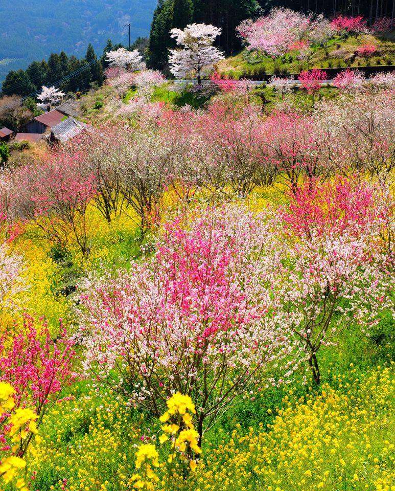 spring mood jigsaw puzzle online