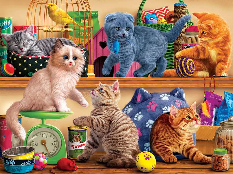 Pisicuțe de la magazinul de animale de companie #85 jigsaw puzzle online