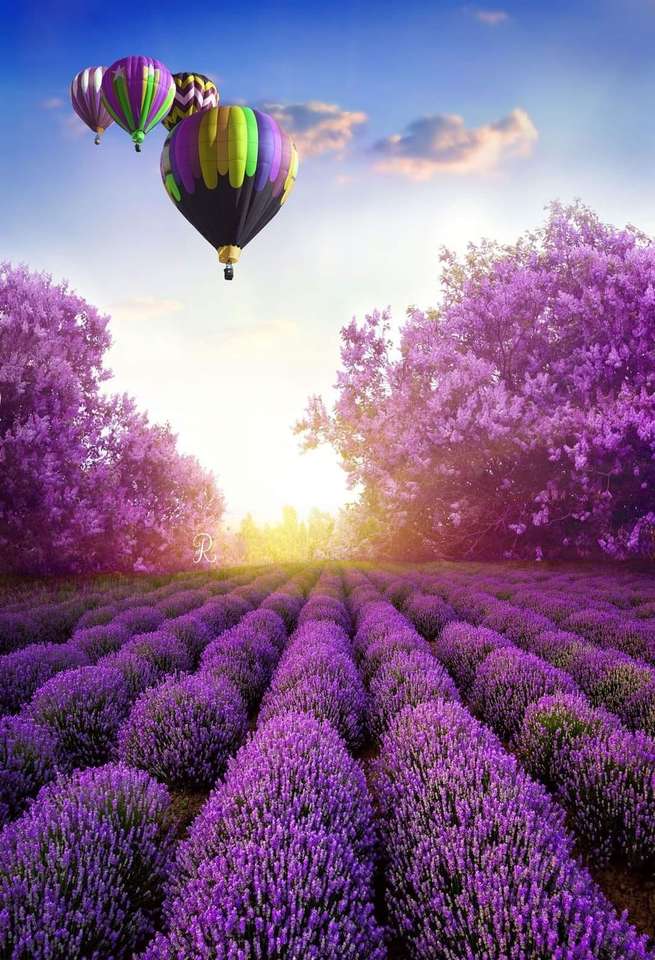 Lavendel veld legpuzzel online