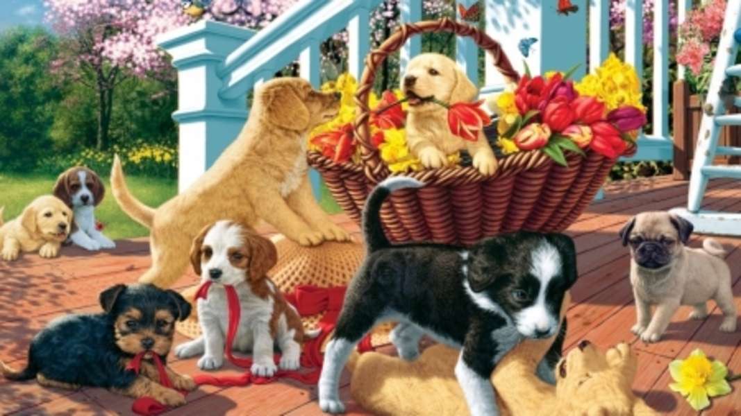 puppies play happily jigsaw puzzle online