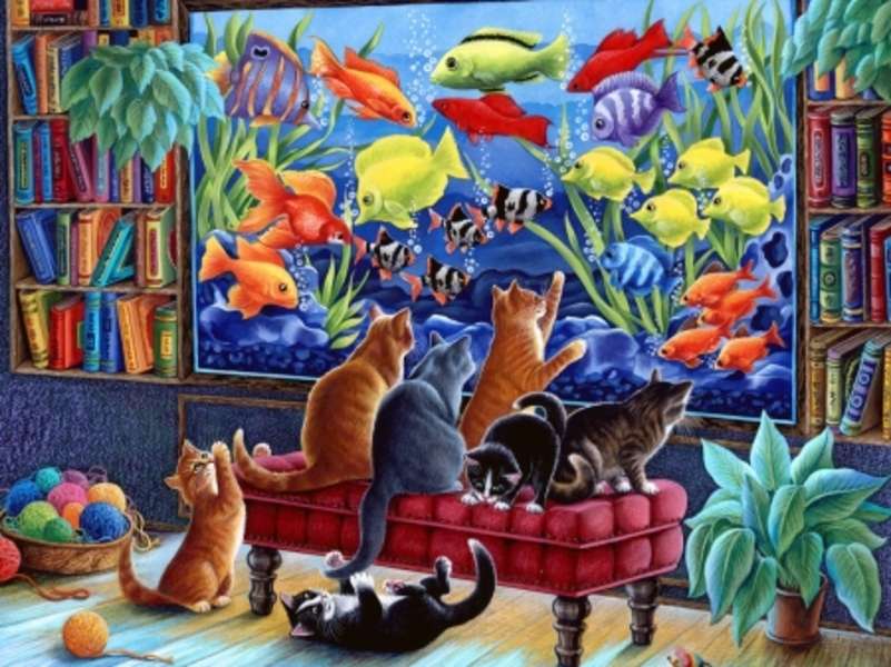 Γατάκια που παρακολουθούν δεξαμενή ψαριών #90 online παζλ