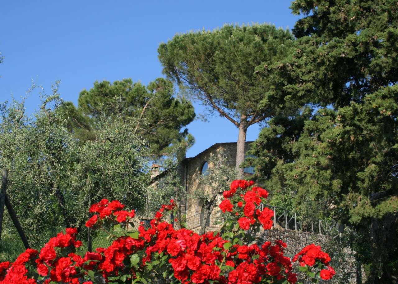 Тосканський сад пазл онлайн