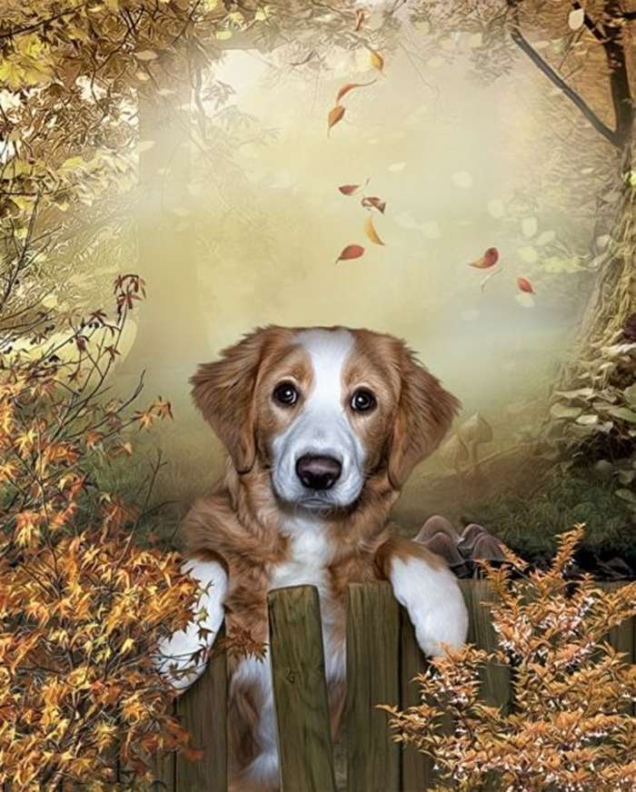 beautiful puppy leaning on the fence jigsaw puzzle online