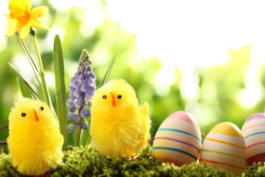 Umělá kuřata a velikonoční vajíčka. skládačky online
