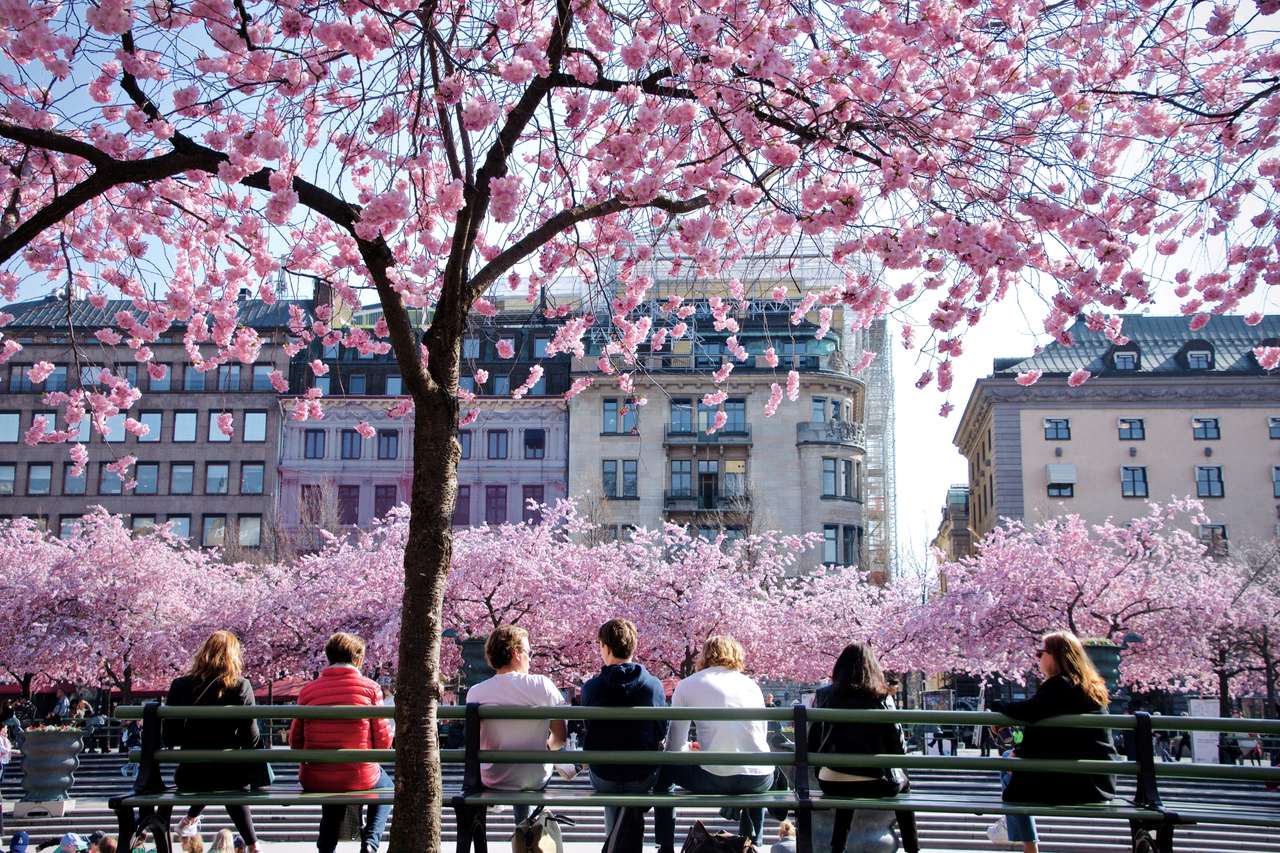 Centre-ville de Stockholm au printemps puzzle en ligne