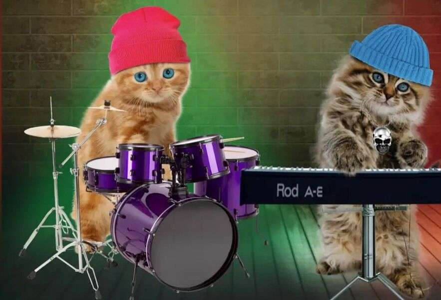 Drummer Kitty #102 online puzzel