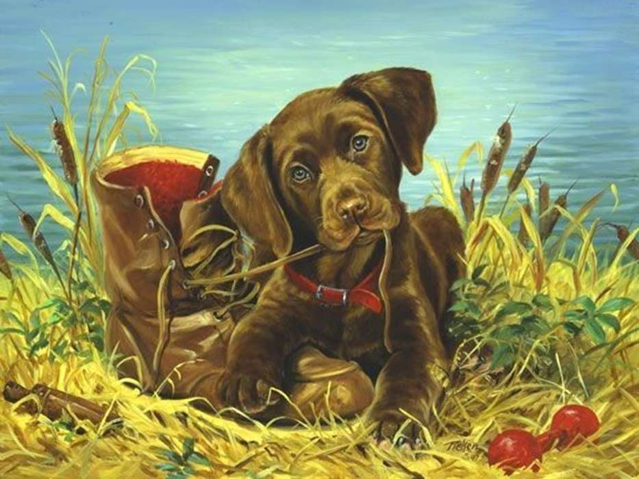 puppy biting a boot jigsaw puzzle online