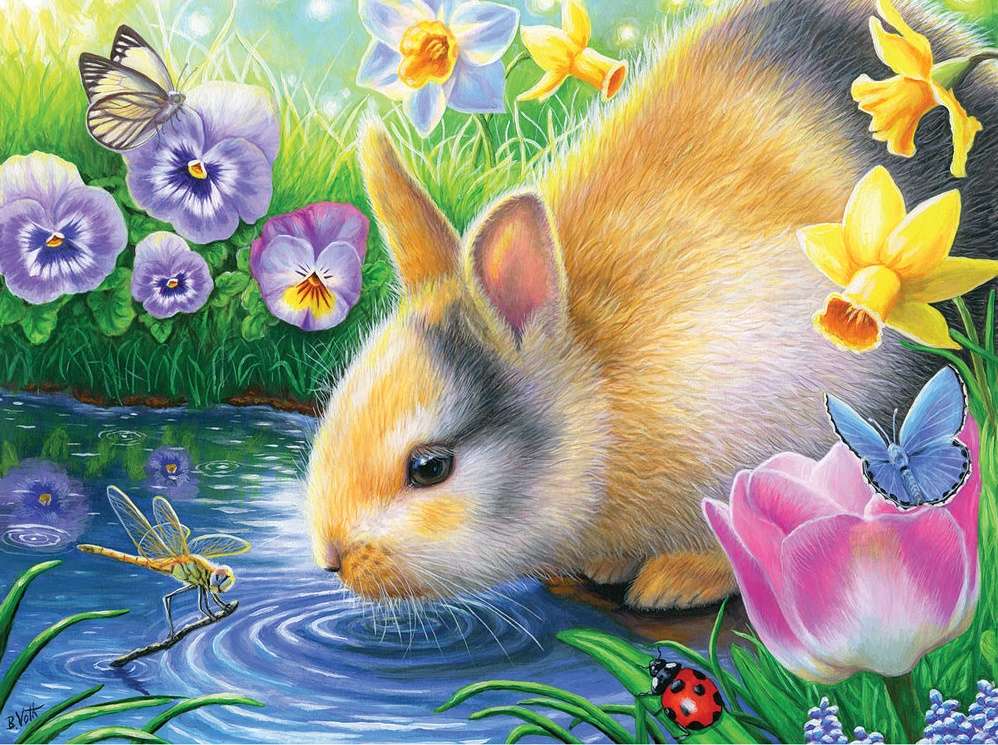 acqua potabile del coniglio puzzle online