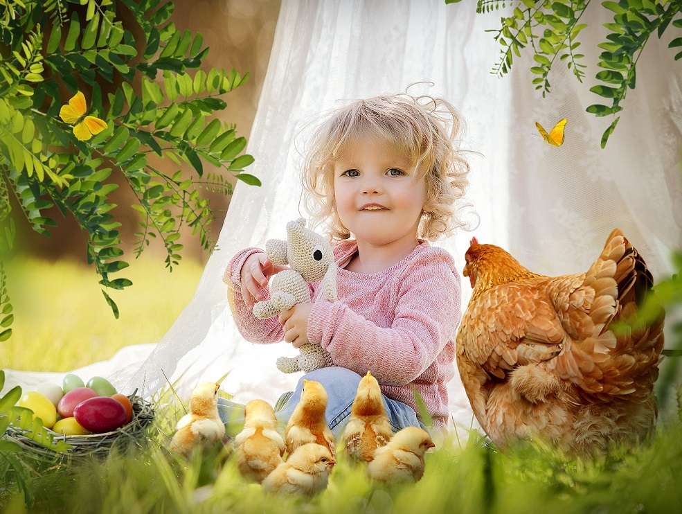 Tyúk, csirkék, kicsi baba online puzzle
