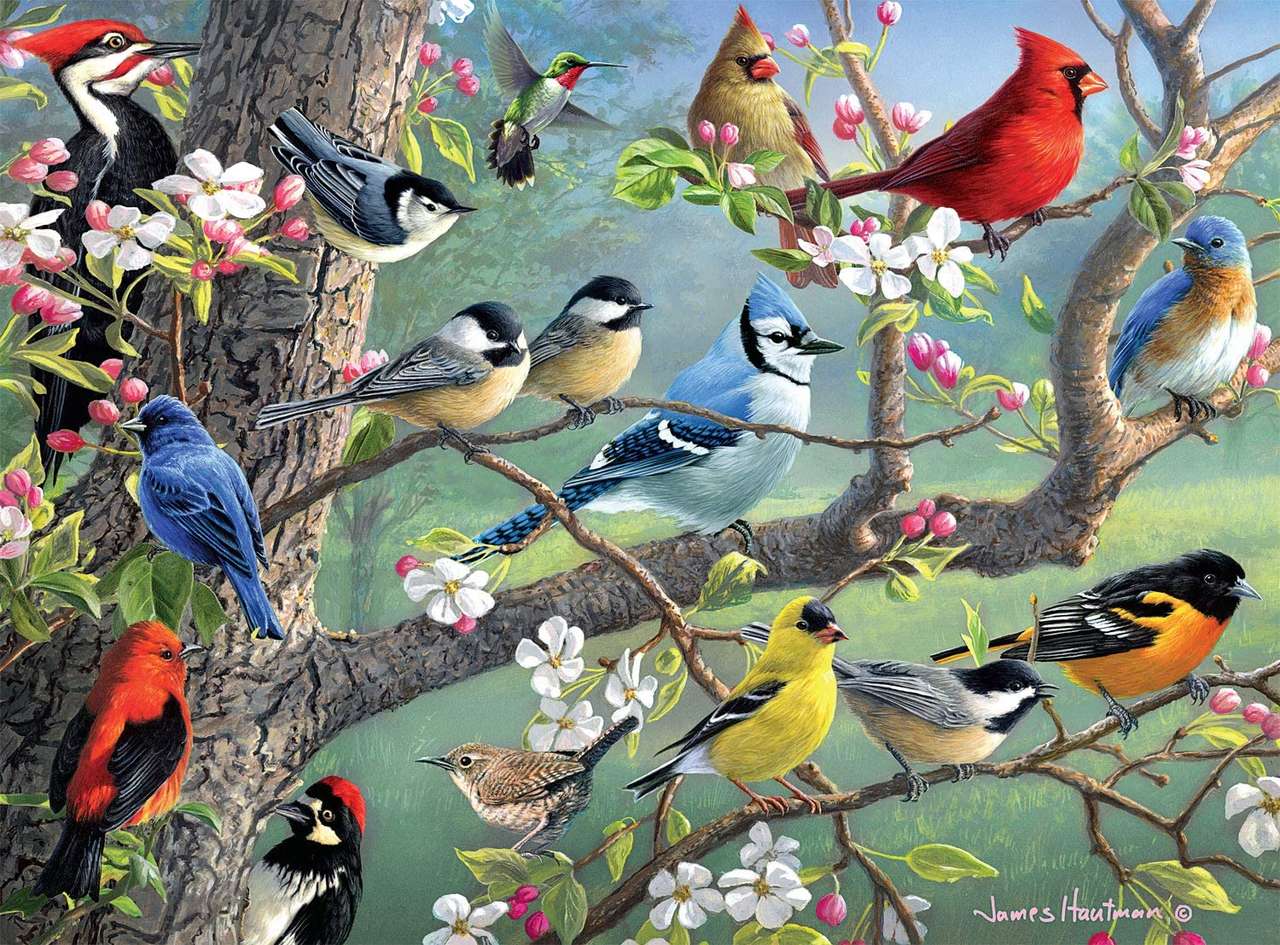 Uccelli da giardino puzzle online
