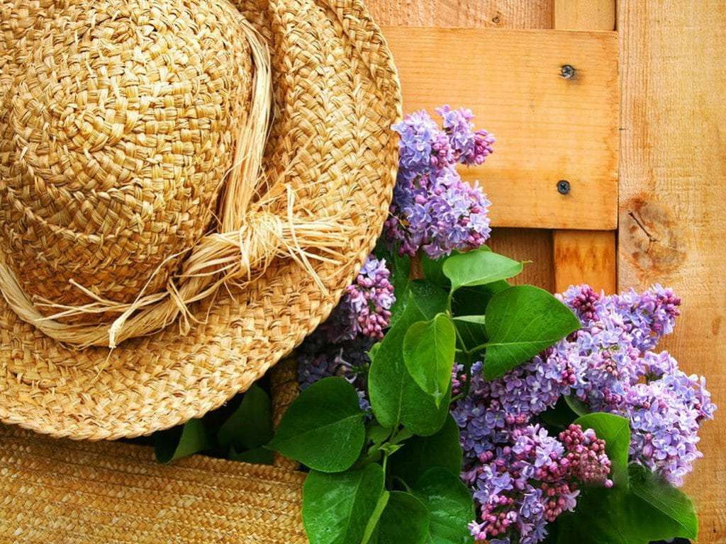 Freshly picked lilacs jigsaw puzzle online