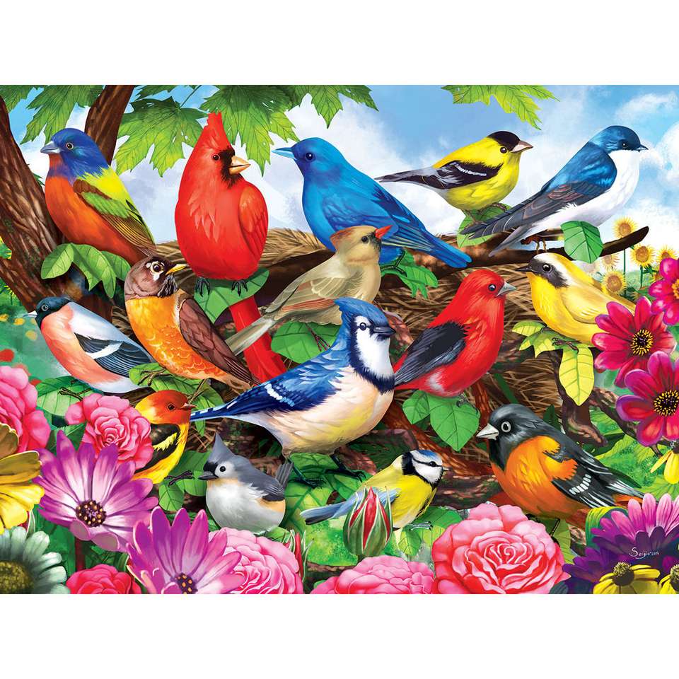 Păsări ale Americii jigsaw puzzle online
