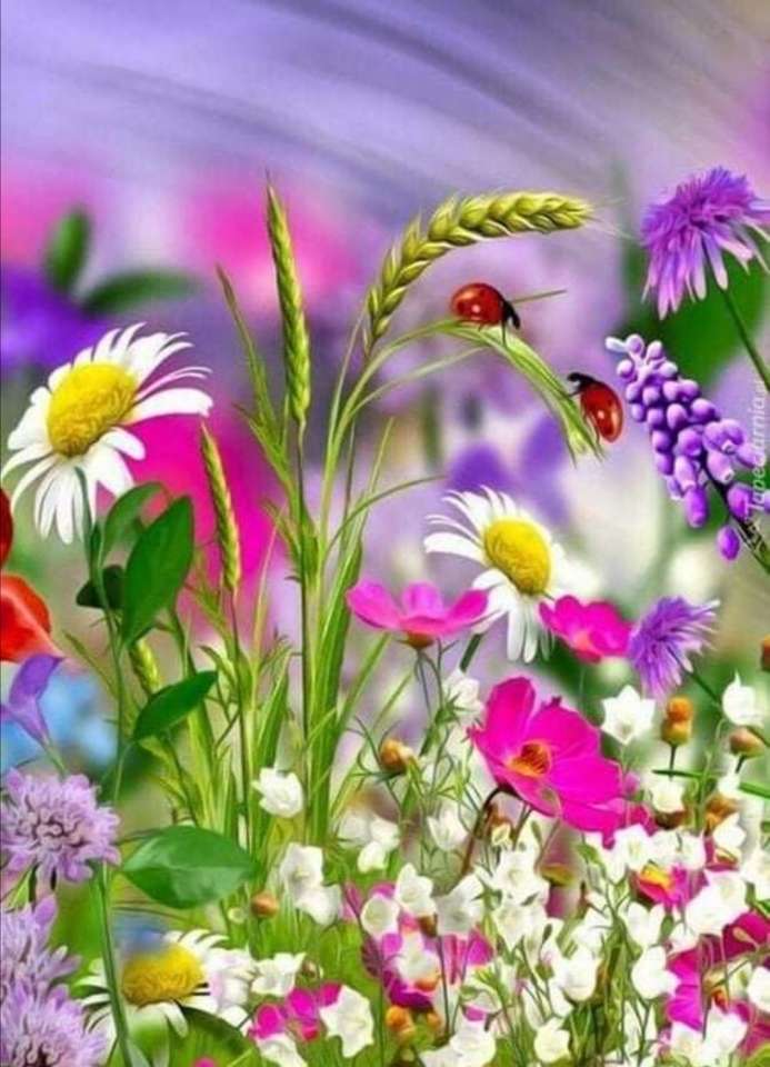 Polní květiny skládačky online
