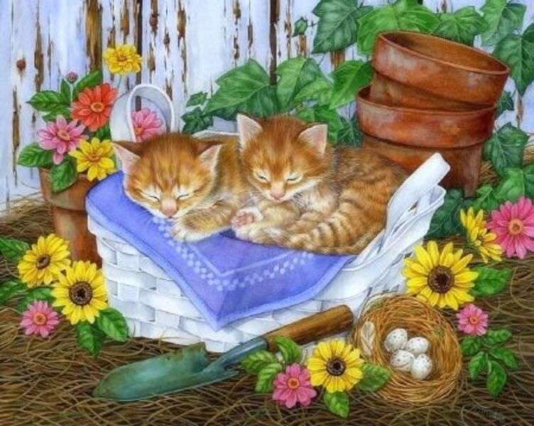 Gattini che dormono #108 puzzle online