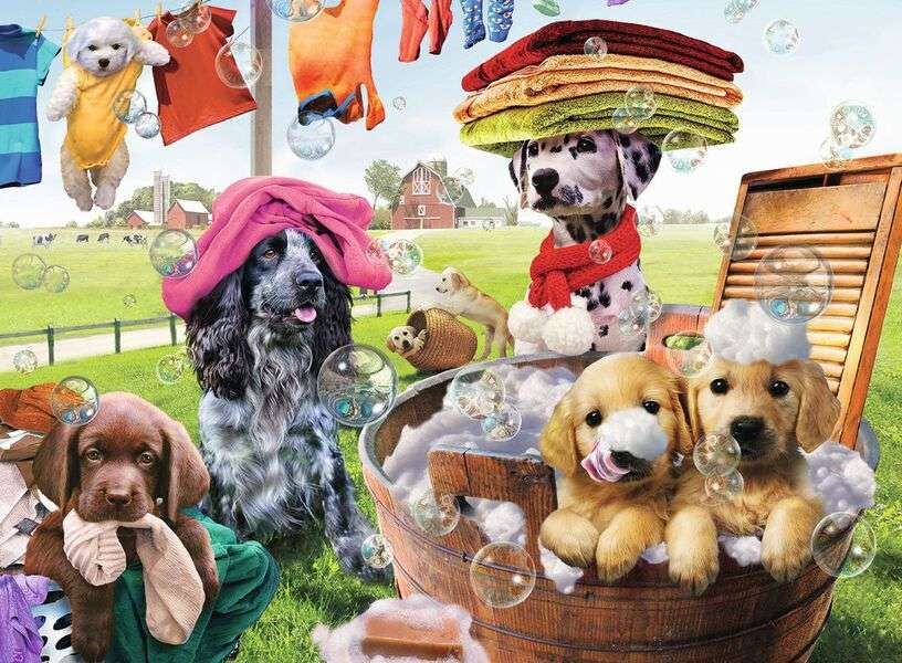 Σκυλάκια που πλένουν ρούχα #104 online παζλ