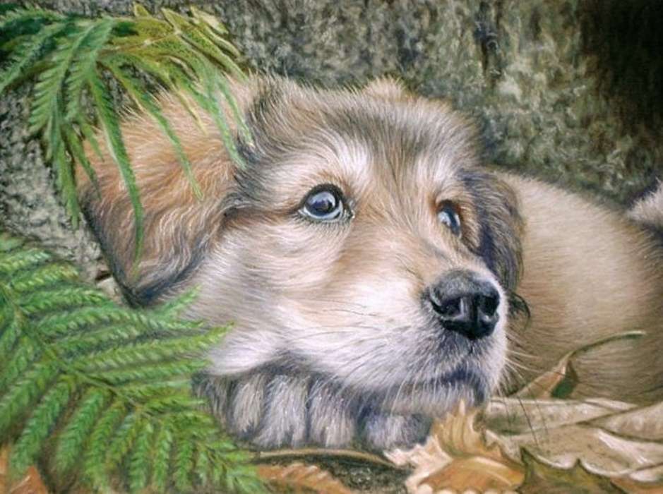 puppy resting jigsaw puzzle online