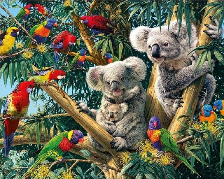 Papegojor och koala. Pussel online