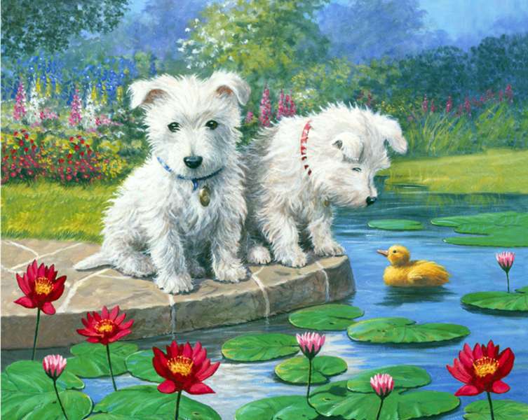 Кученца в езерце № 106 онлайн пъзел