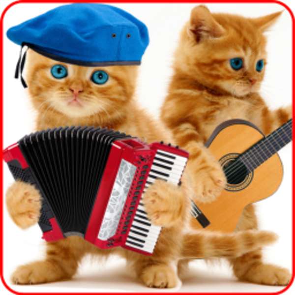 Musiker kattungar #117 Pussel online
