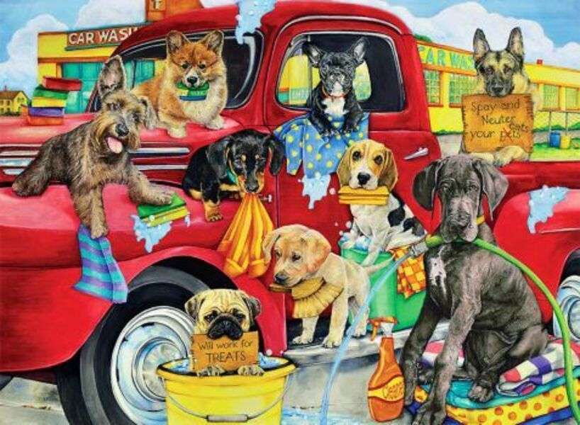 Puppies washing cars #110 jigsaw puzzle online