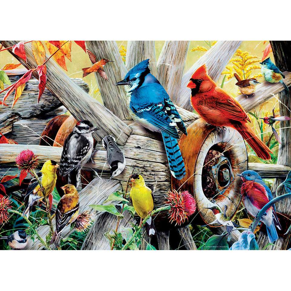 Uccelli da cortile puzzle online