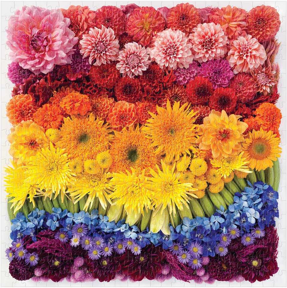 Regenbogen Sommerblumen Online-Puzzle